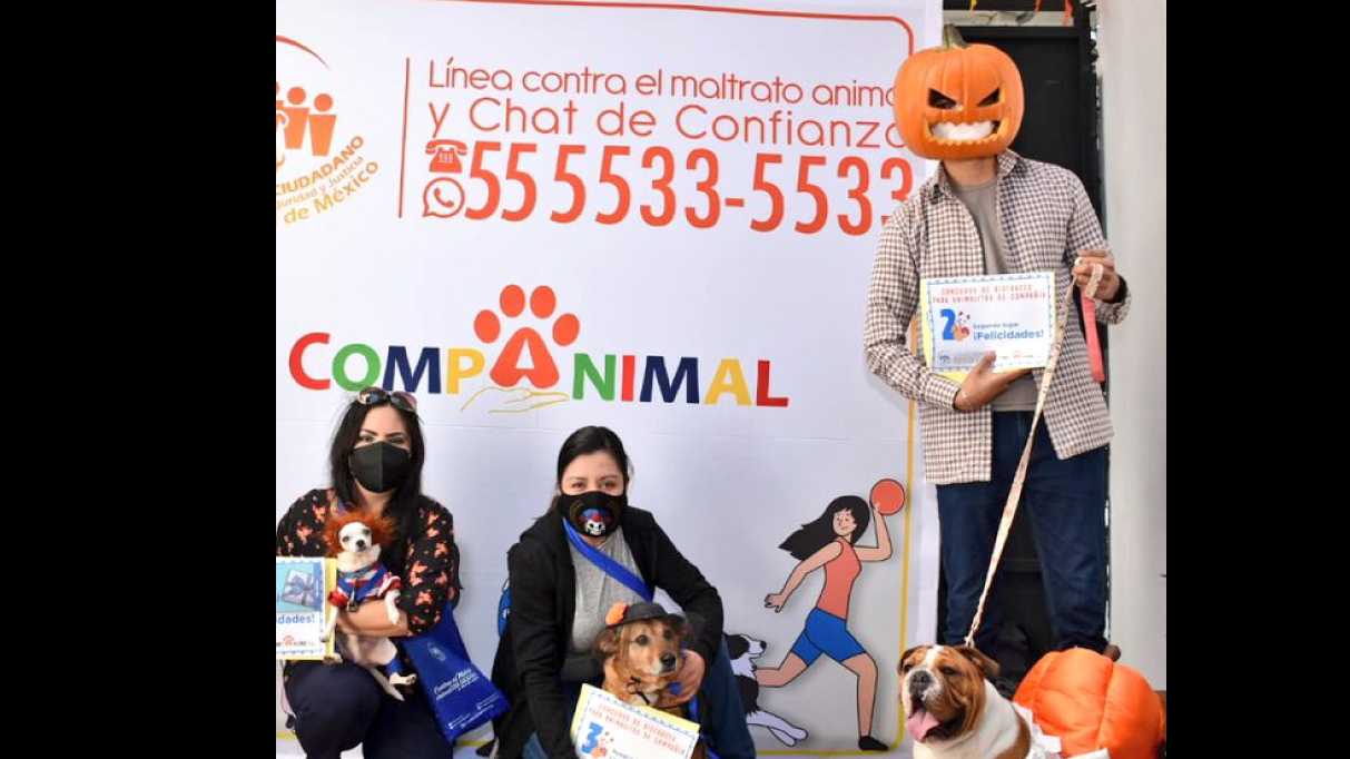 Previo a Halloween y Día de Muertos